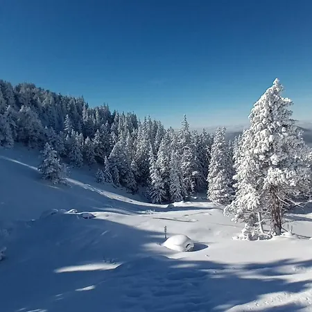Appartement Au Chasseur