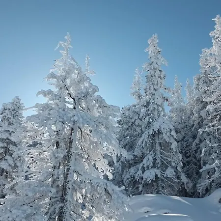 Au Chasseur Lejlighed Colmar