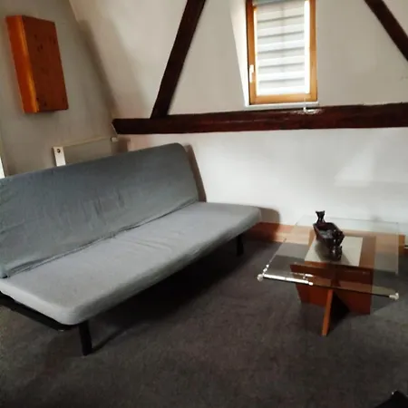 Appartement Au Chasseur Colmar