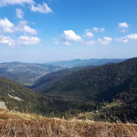 Lejlighed Au Chasseur *