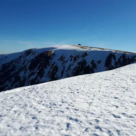 Lejlighed Au Chasseur