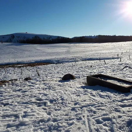 Au Chasseur * Colmar