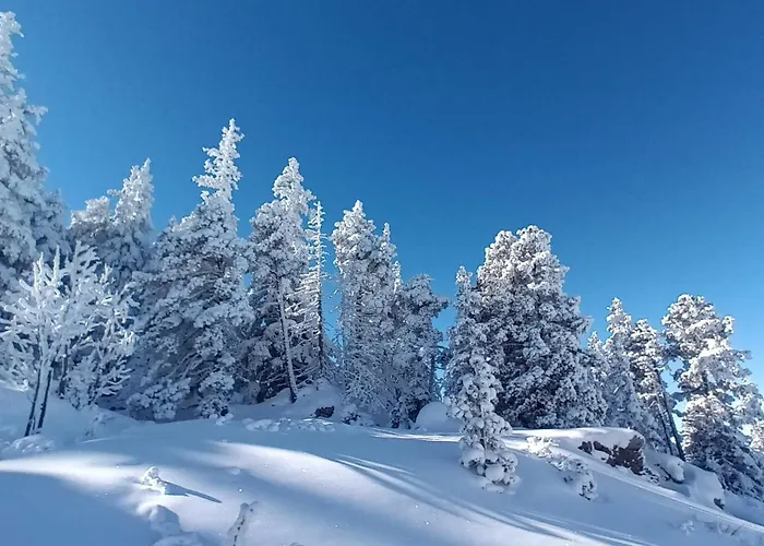 公寓 Au Chasseur 科尔马