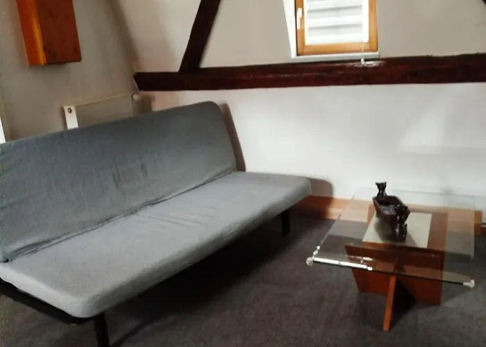 Apartment Au Chasseur Colmar