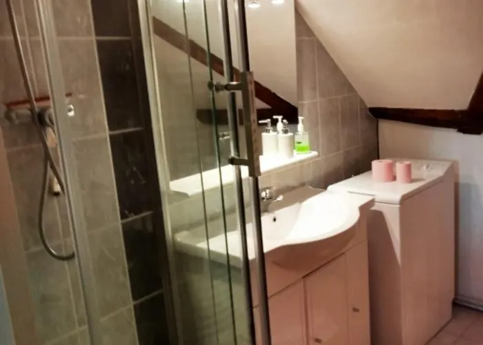 Au Chasseur * 科尔马