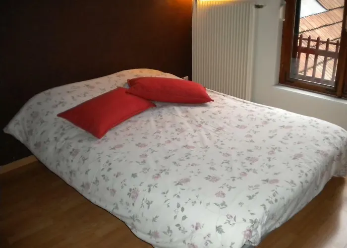 Apartment Au Chasseur Colmar