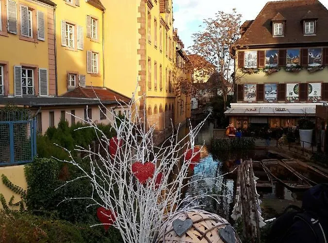 Au Chasseur 公寓 科尔马