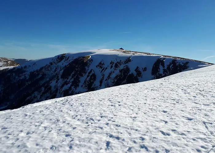 Apartment Au Chasseur