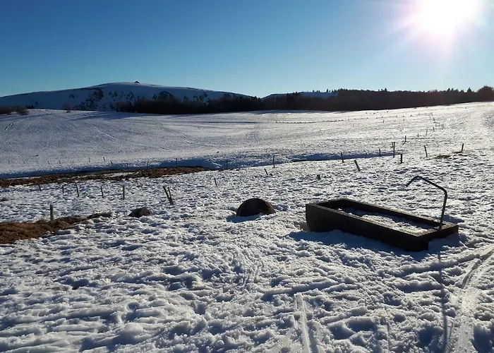 Au Chasseur * Colmar